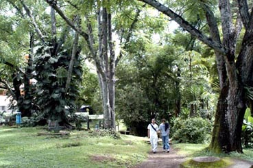 Primera Semana Ambiental Universitaria