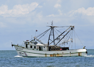 Barco camaronero