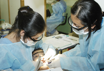 Odontologia