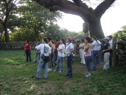 Visitantes en el Parque Santa Rosa