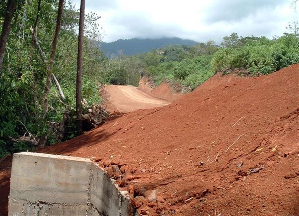 Bosque destruido para camino