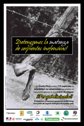 Afiche de la campaña