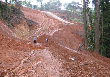 Bosque destruído y suelo erosionado
