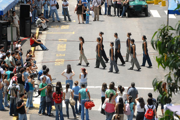 Actividad artística