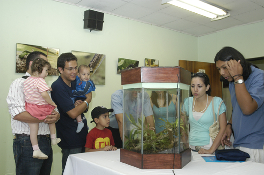 Familias observando puestos de exposición