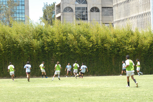 Partido de fútbol