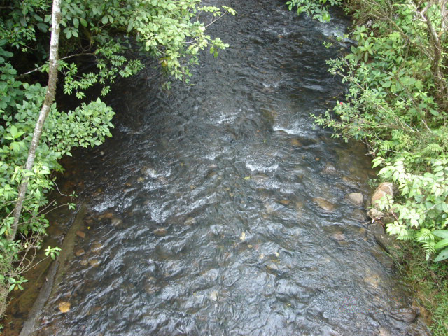 Río Jabonal