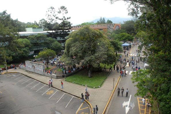 CAmpus UCR