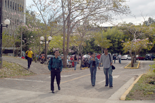 Estudiantes en el campus