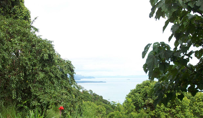 Vista del mar desde colina