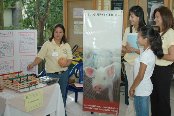 Puesto de exhibición en feria