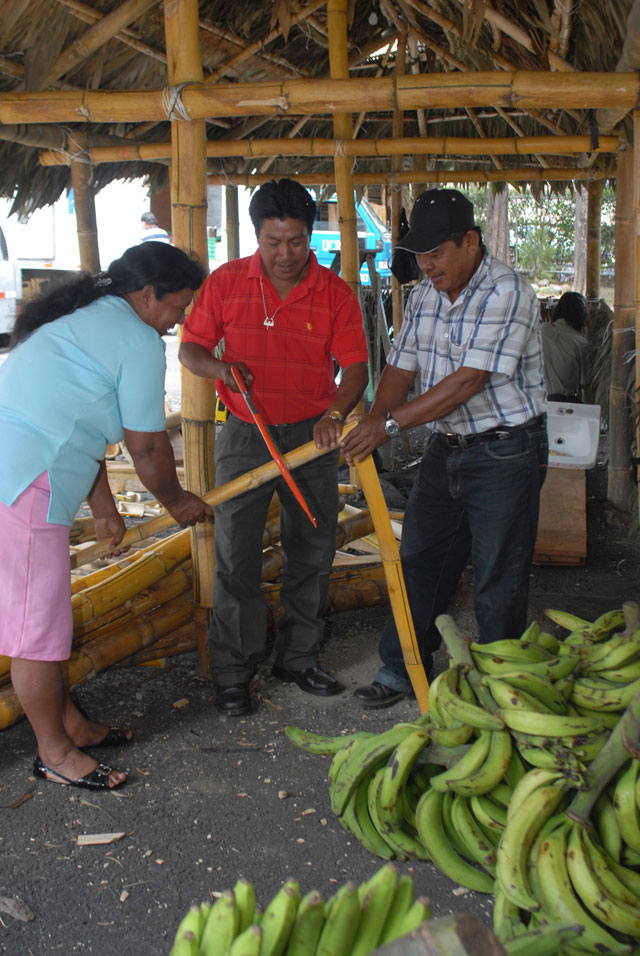 Trabajadores en palenque