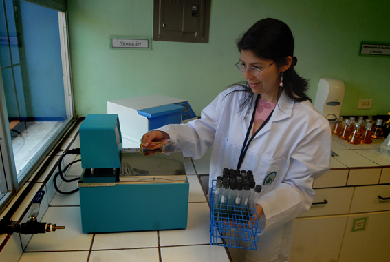 Dra. Luz Chacón en laboratorio