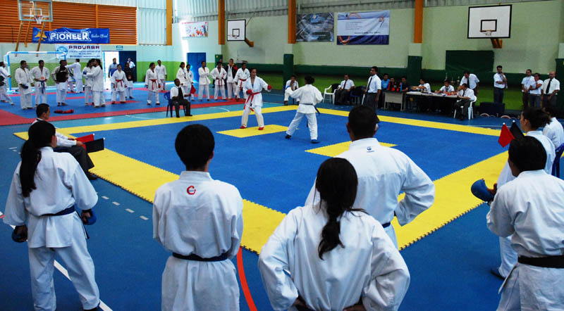 Torneo de Karate