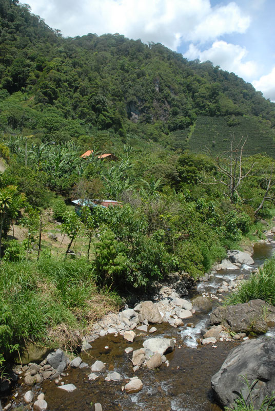 Rio y montaña