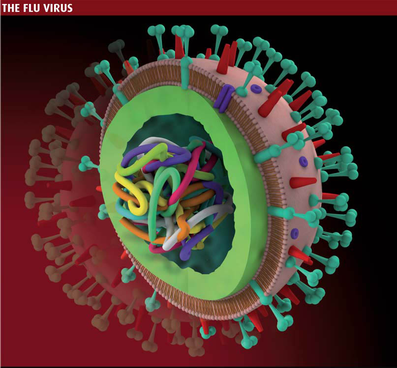 Virus influenza A h1 n1