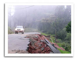  Cinchona carretera