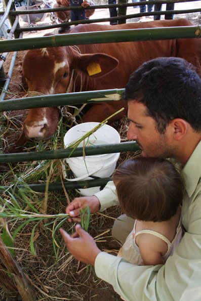 Visitantes y animales