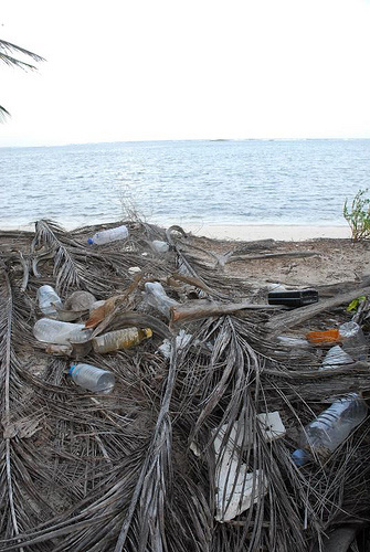Plástico predomina entre contaminantes de playas nacionales