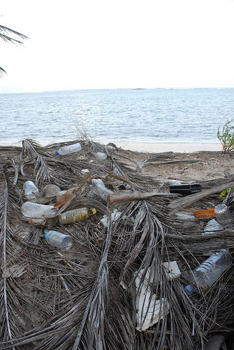 Desechos plásticos en playa