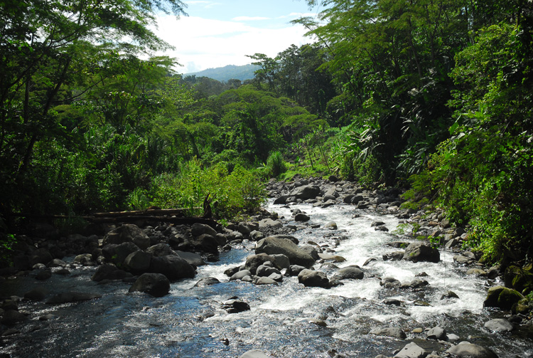 Vista de un río