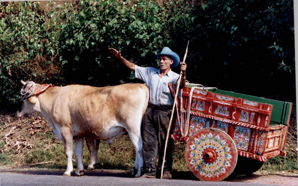 Boyero con carreta