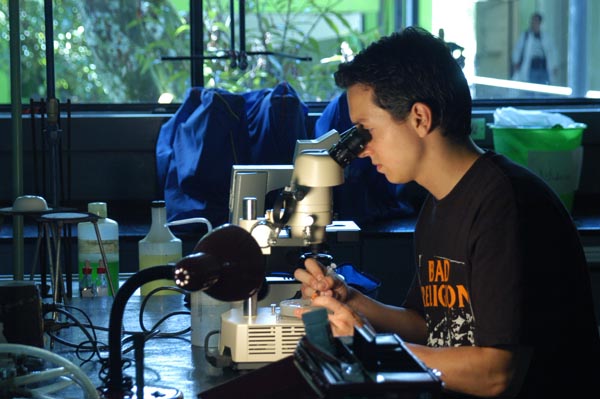 Estudiante en laboratorio