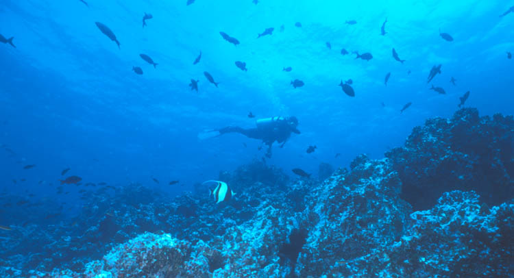 Isla del Coco