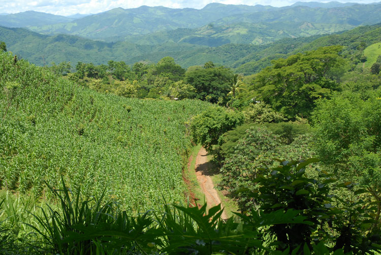 Panorama montaña