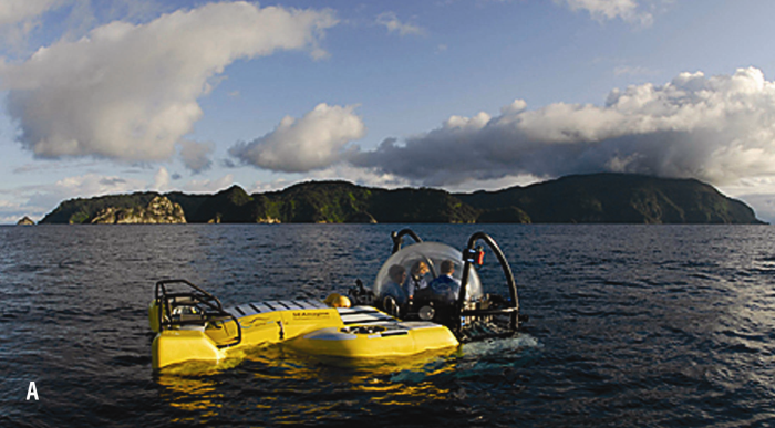 Investigación en el oceano