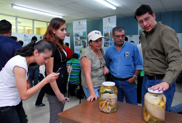 productores de Los Santos