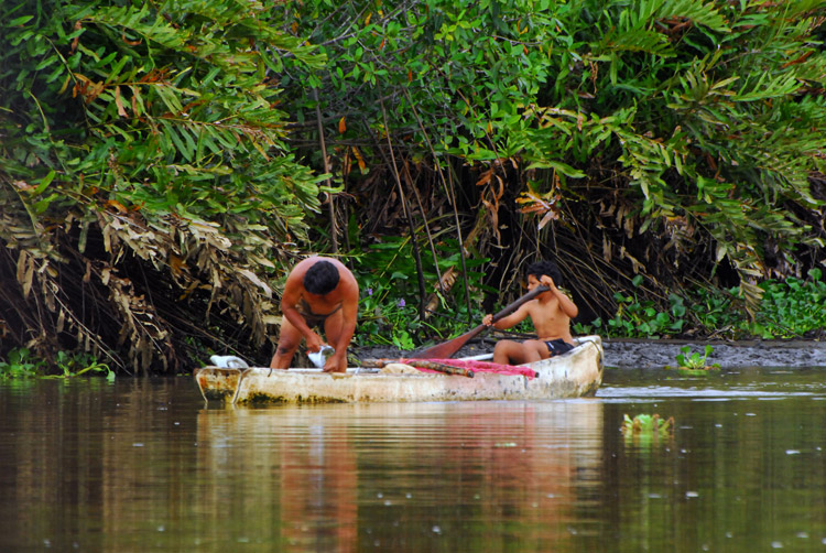 Pescadores en el manglar