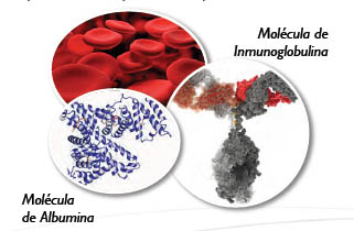 inmunoglobulinas