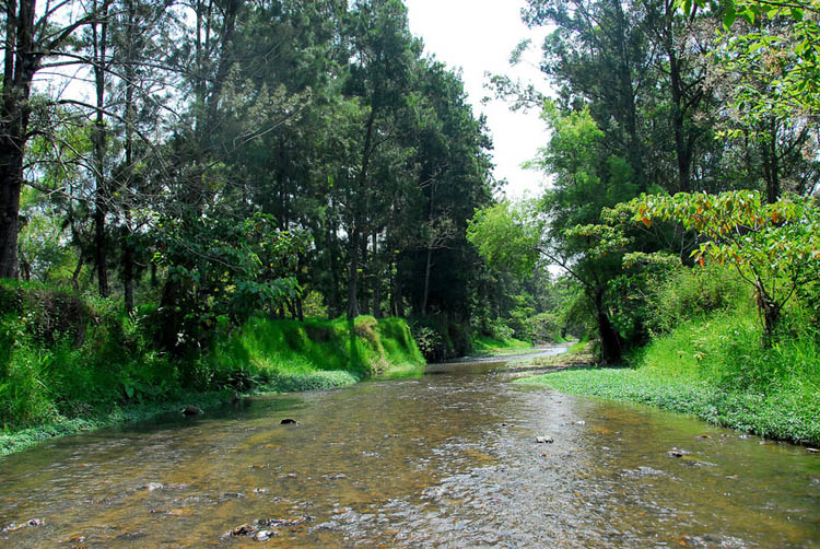 Expotur Paraíso