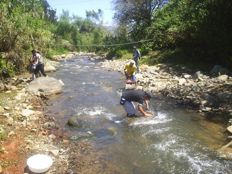 Muestreo Río Purires