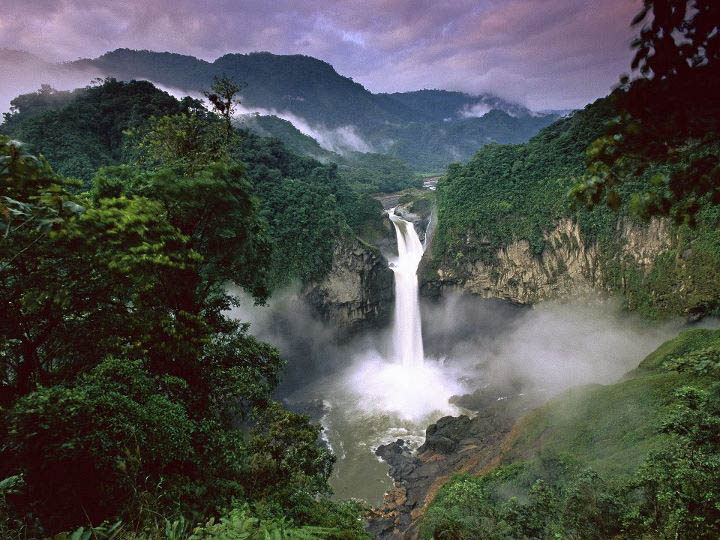 Parque Nacional Yasuní