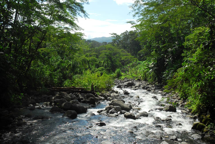 Agua dulce