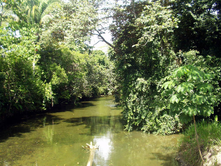 Parque Nacional Corcovado