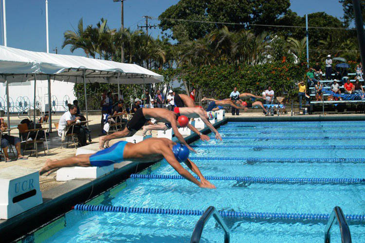 24 horas de natación