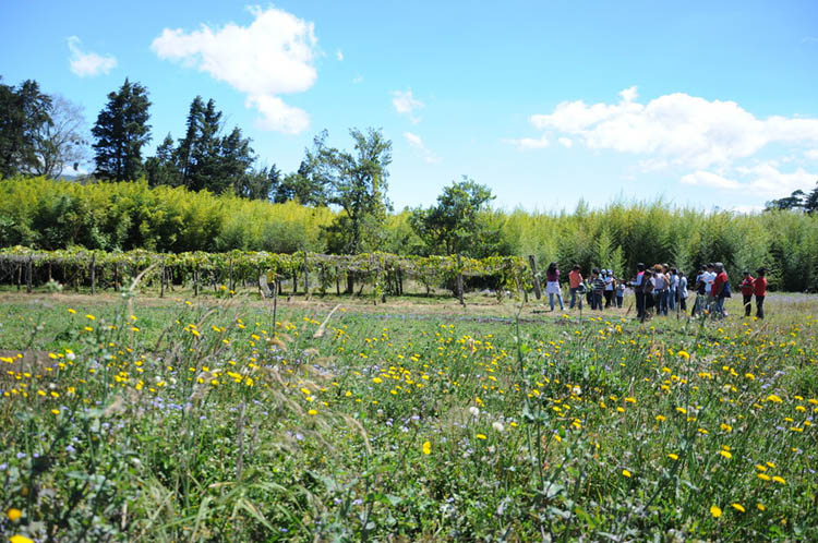 Finca Experimental de Fraijanes, en Alajuela