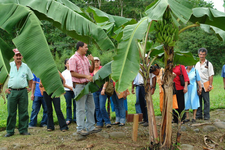 Finca experimental