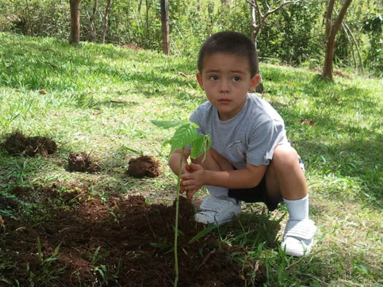 Niño de Taller Colibrí