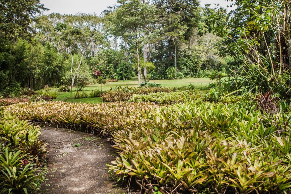 Jardín Botánico Lankester