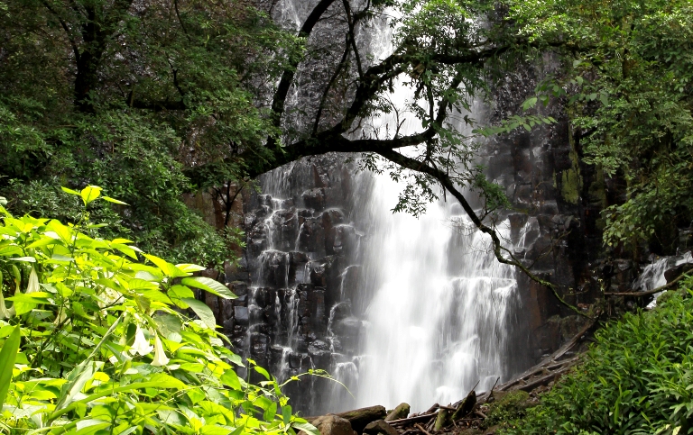 chorros-web