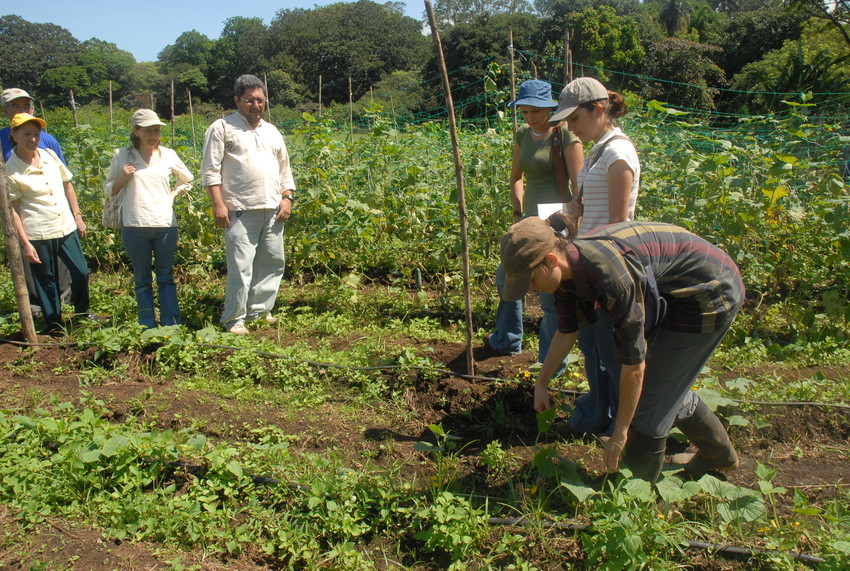 Agricultura Familiar Nutrición