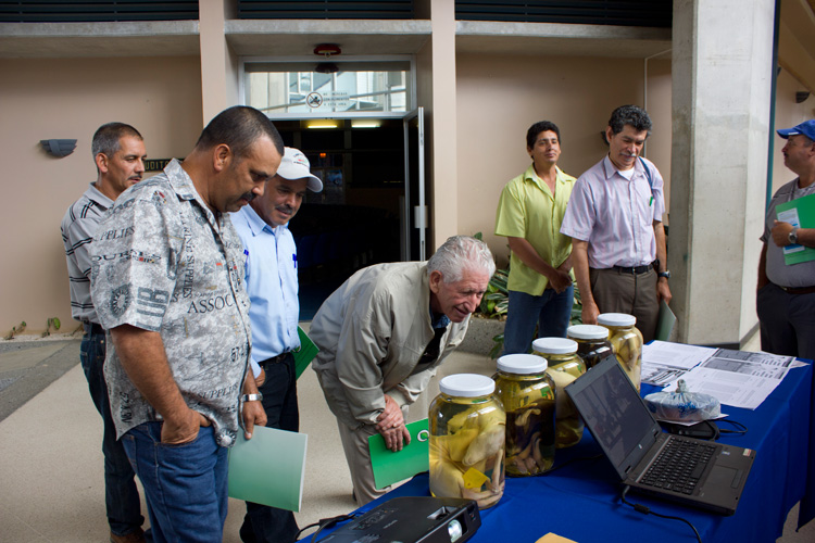 Productores Tarrazu