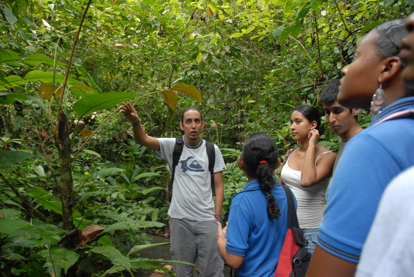 Visita a bosque