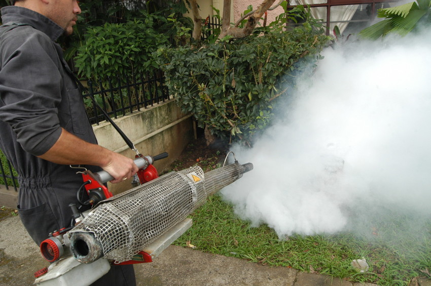 fumigación dengue