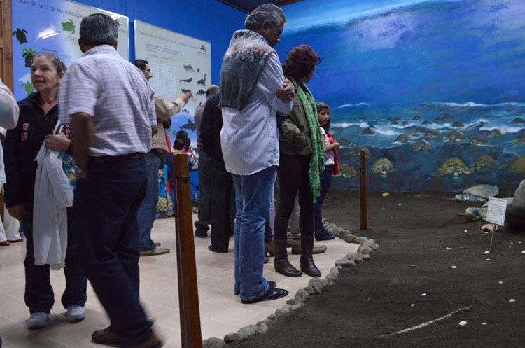 Público visita sala de Historia Natural