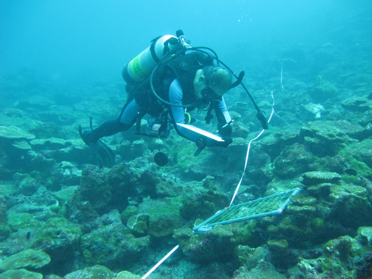 Investigación Isla del Coco